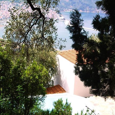 Villa Kalypso And Villa Kirki سكوبيلوس تاون المظهر الخارجي الصورة