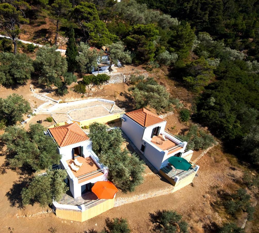 Villa Kalypso And Villa Kirki سكوبيلوس تاون المظهر الخارجي الصورة